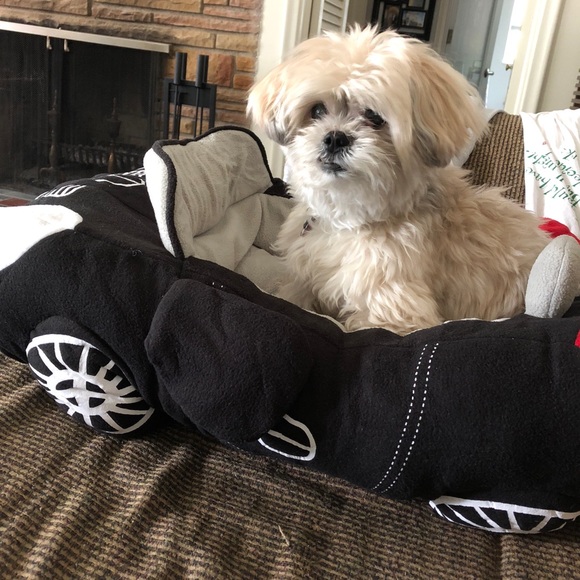 Meet the posher! - Picture 2 of 3